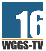 Greenville/Spartanburg Cable